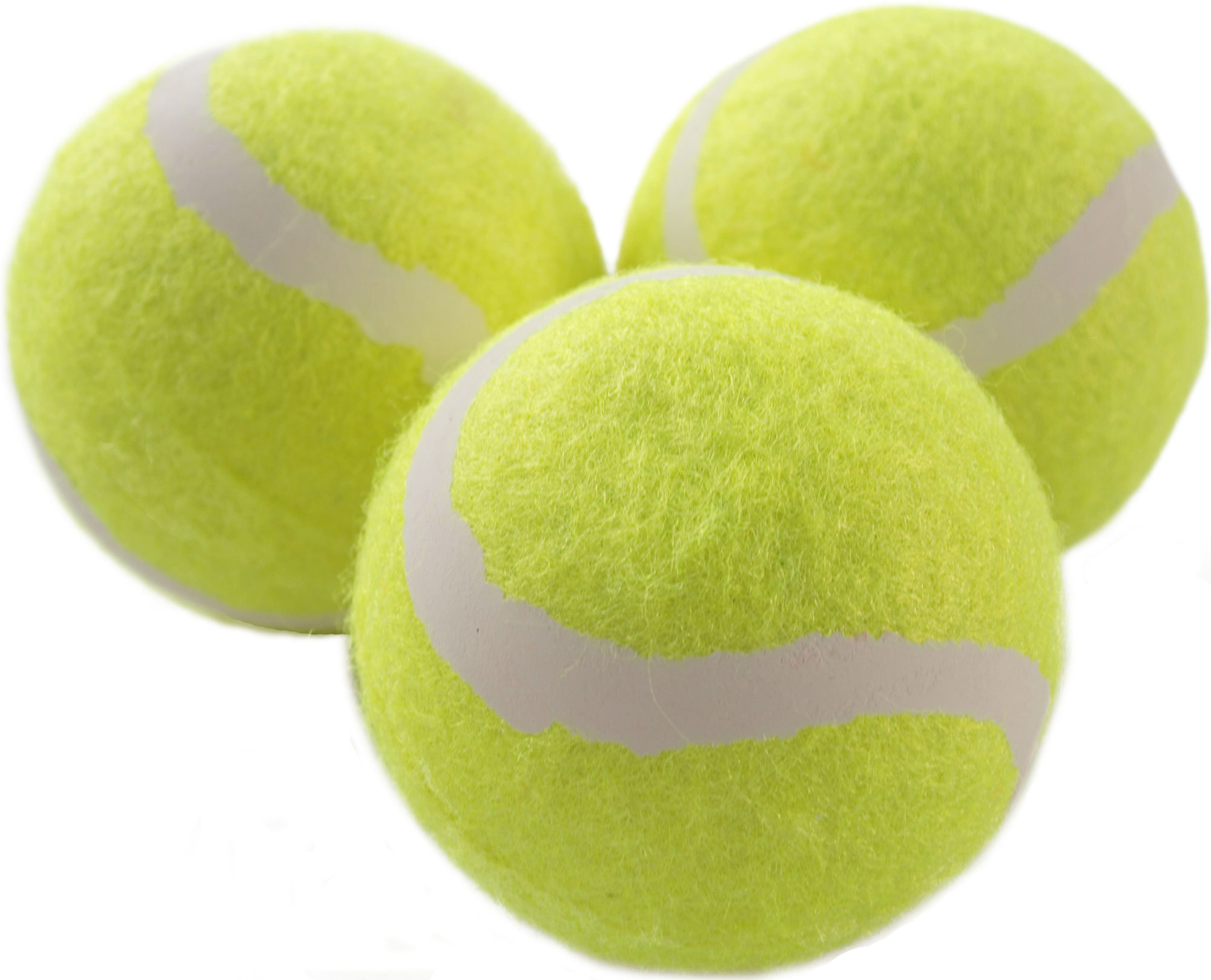 Schildkröt Tennisball 3er Pack